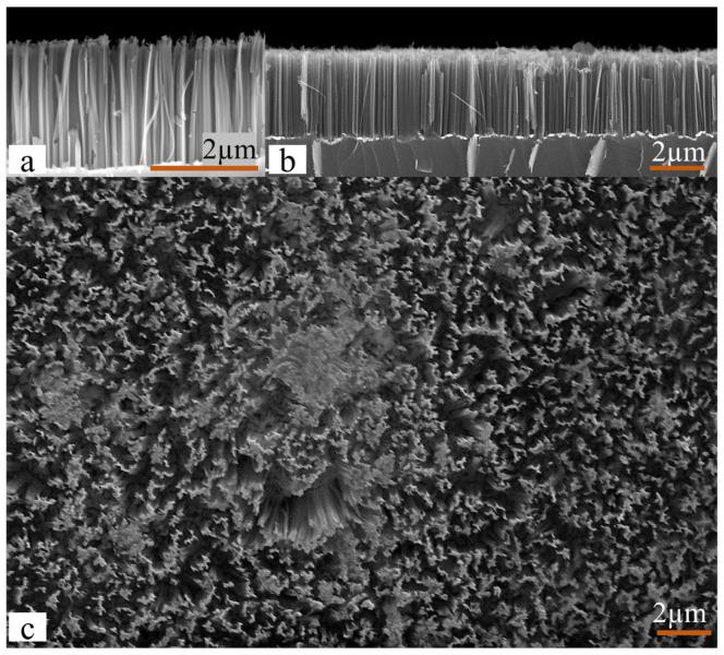 https://cdn.ncbi.nlm.nih.gov/pmc/blobs/6a68/9459738/5fbed617d043/sensors-22-06340-g001.jpg
