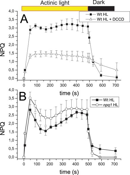 https://cdn.ncbi.nlm.nih.gov/pmc/blobs/6a69/3022525/12ba6af3f637/pbio.1000577.g008.jpg