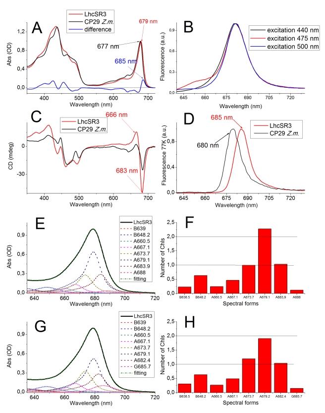 https://cdn.ncbi.nlm.nih.gov/pmc/blobs/6a69/3022525/33dc8fe8f6ed/pbio.1000577.g005.jpg