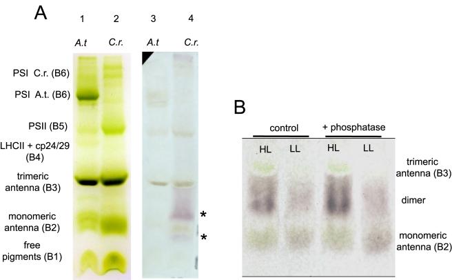 https://cdn.ncbi.nlm.nih.gov/pmc/blobs/6a69/3022525/9618c47bb2f0/pbio.1000577.g003.jpg