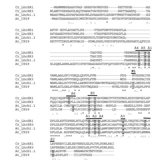 https://cdn.ncbi.nlm.nih.gov/pmc/blobs/6a69/3022525/9a28532815bb/pbio.1000577.g004.jpg