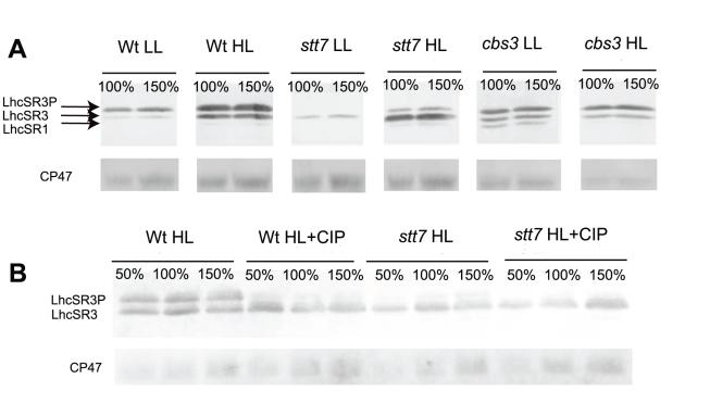 https://cdn.ncbi.nlm.nih.gov/pmc/blobs/6a69/3022525/dd1cab3604fd/pbio.1000577.g001.jpg