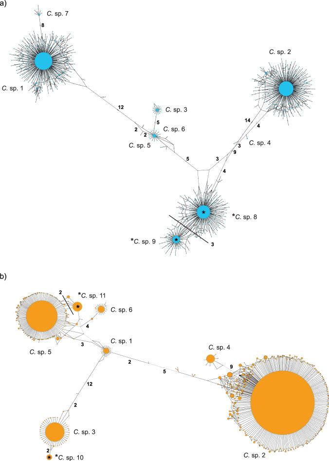 https://cdn.ncbi.nlm.nih.gov/pmc/blobs/6a69/8245484/9823ffb1b985/41396_2021_895_Fig3_HTML.jpg