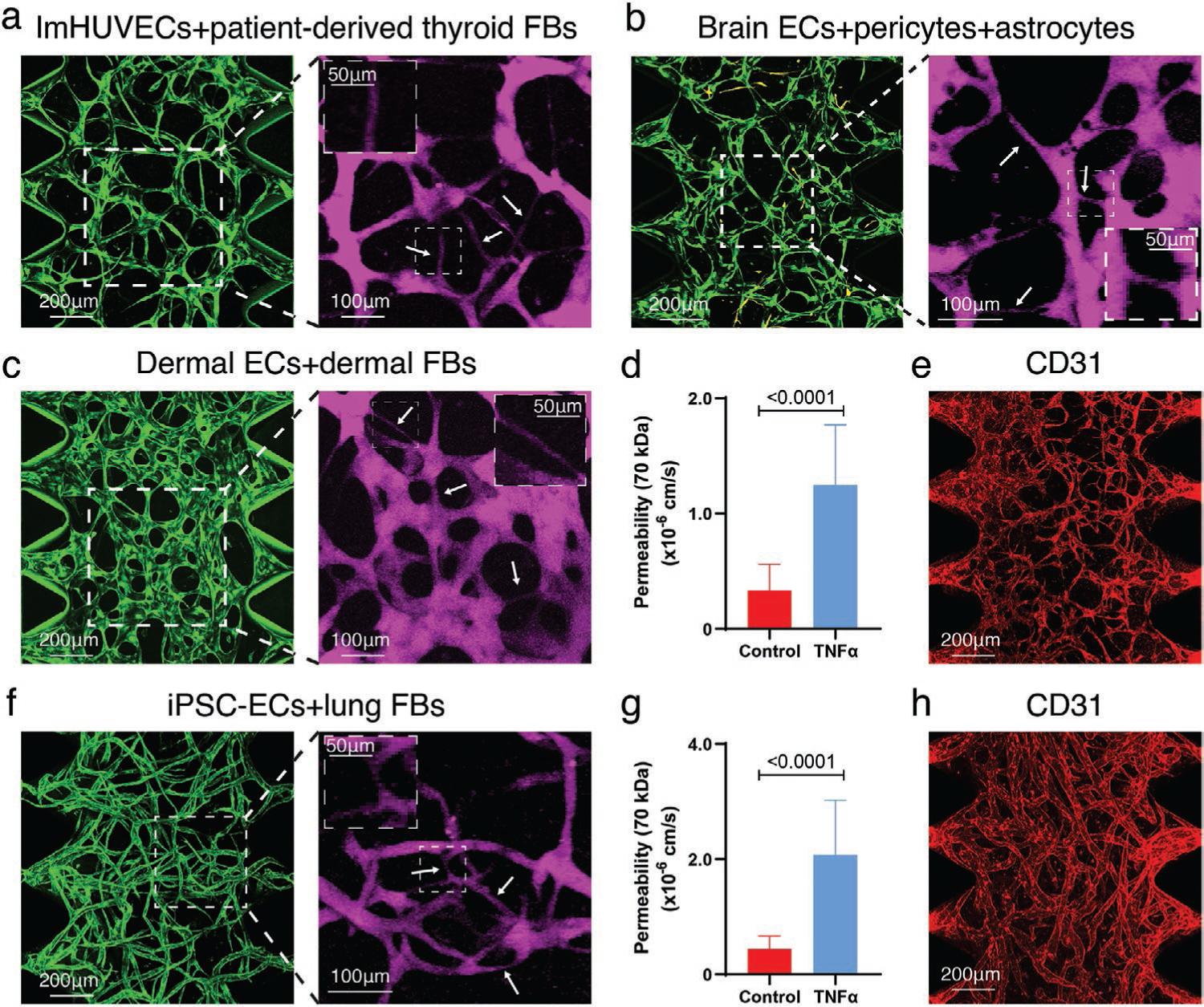 https://cdn.ncbi.nlm.nih.gov/pmc/blobs/6a6a/9844969/83db9332639d/nihms-1862800-f0006.jpg