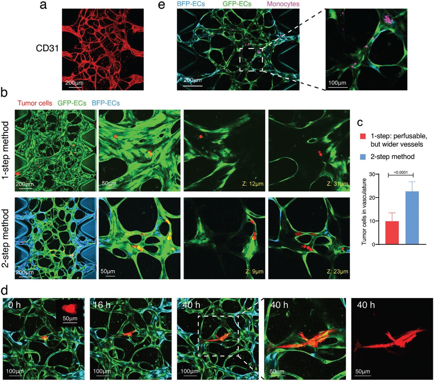 https://cdn.ncbi.nlm.nih.gov/pmc/blobs/6a6a/9844969/f9312072f7d7/nihms-1862800-f0005.jpg