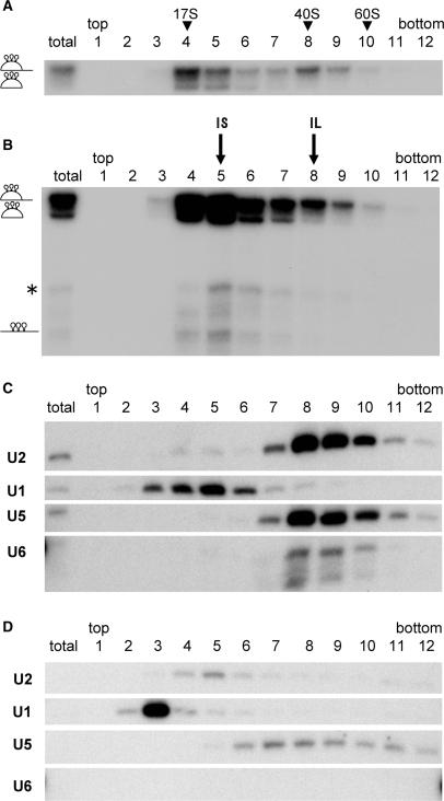 https://cdn.ncbi.nlm.nih.gov/pmc/blobs/6a6b/2647322/24b3bd789650/gkn1002f2.jpg