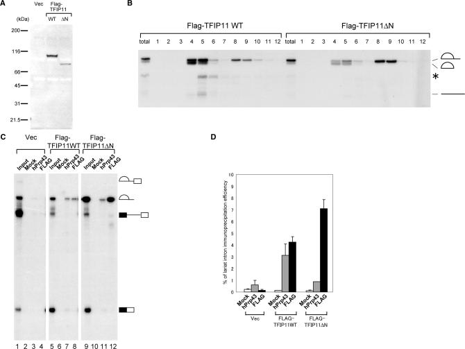 https://cdn.ncbi.nlm.nih.gov/pmc/blobs/6a6b/2647322/6c2e2faacf13/gkn1002f5.jpg