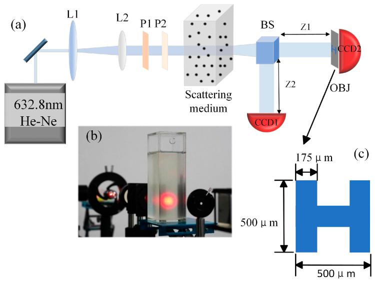 https://cdn.ncbi.nlm.nih.gov/pmc/blobs/6a6d/10648716/b924ee892abd/sensors-23-09002-g002.jpg