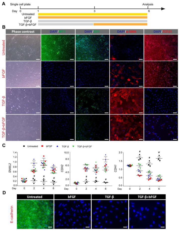 https://cdn.ncbi.nlm.nih.gov/pmc/blobs/6a70/5408455/f43786c94aa8/nihms838162f4.jpg