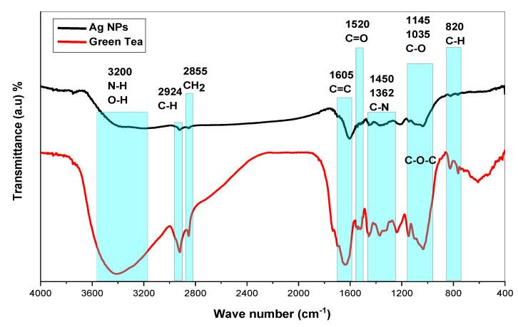 https://cdn.ncbi.nlm.nih.gov/pmc/blobs/6a72/10141010/7567b7aecaff/nanomaterials-13-01327-g004.jpg