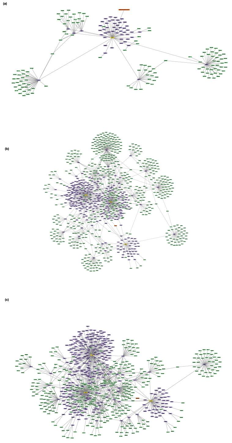 https://cdn.ncbi.nlm.nih.gov/pmc/blobs/6a74/10305495/1a5794b538f0/proteomes-11-00021-g006.jpg