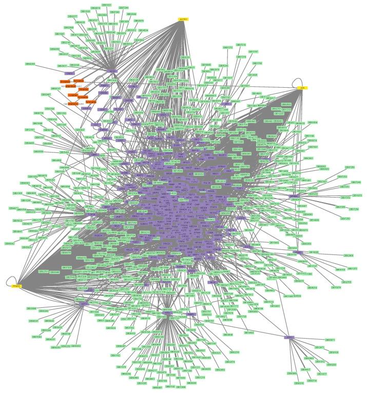 https://cdn.ncbi.nlm.nih.gov/pmc/blobs/6a74/10305495/20a1ce1ea4fc/proteomes-11-00021-g004.jpg
