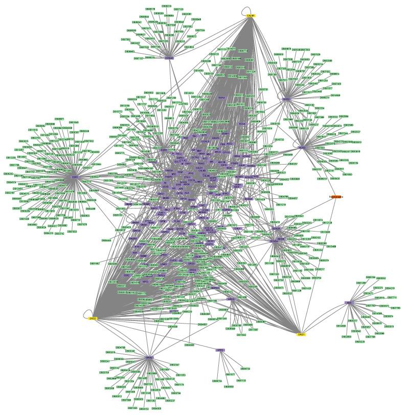 https://cdn.ncbi.nlm.nih.gov/pmc/blobs/6a74/10305495/35288e6931d4/proteomes-11-00021-g008.jpg