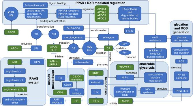 https://cdn.ncbi.nlm.nih.gov/pmc/blobs/6a74/7665025/315758759531/41598_2020_76689_Fig3_HTML.jpg