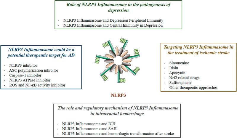 https://cdn.ncbi.nlm.nih.gov/pmc/blobs/6a74/8435574/cc058f7bd79d/fphar-12-707696-g001.jpg
