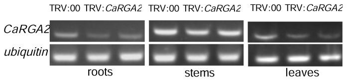 https://cdn.ncbi.nlm.nih.gov/pmc/blobs/6a75/3676768/5ce3fa023012/ijms-14-08985f7.jpg