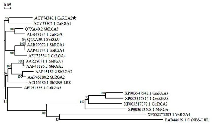 https://cdn.ncbi.nlm.nih.gov/pmc/blobs/6a75/3676768/9b902e3a524c/ijms-14-08985f4.jpg