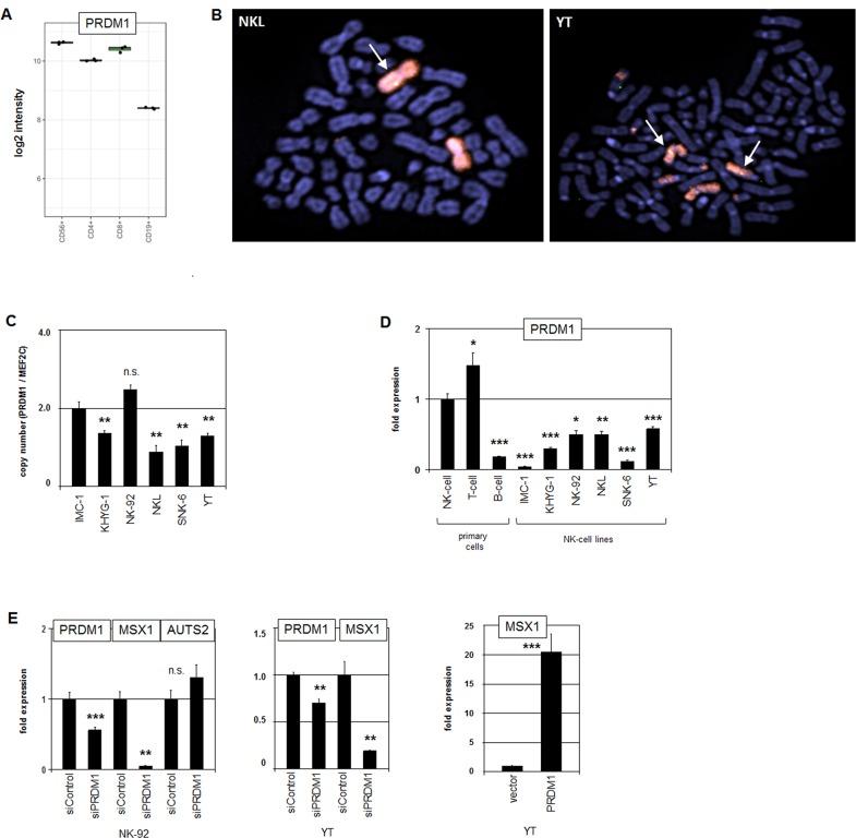 https://cdn.ncbi.nlm.nih.gov/pmc/blobs/6a75/5620138/3bfd4bdefc6f/oncotarget-08-66815-g004.jpg