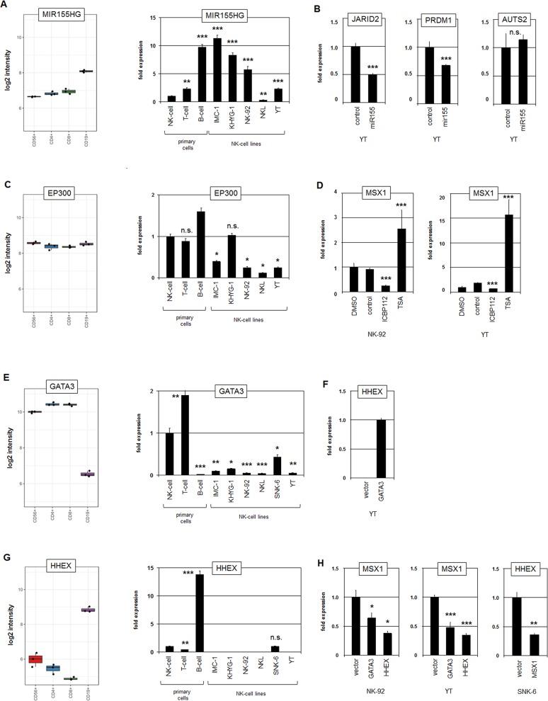 https://cdn.ncbi.nlm.nih.gov/pmc/blobs/6a75/5620138/5dea817d0d67/oncotarget-08-66815-g006.jpg