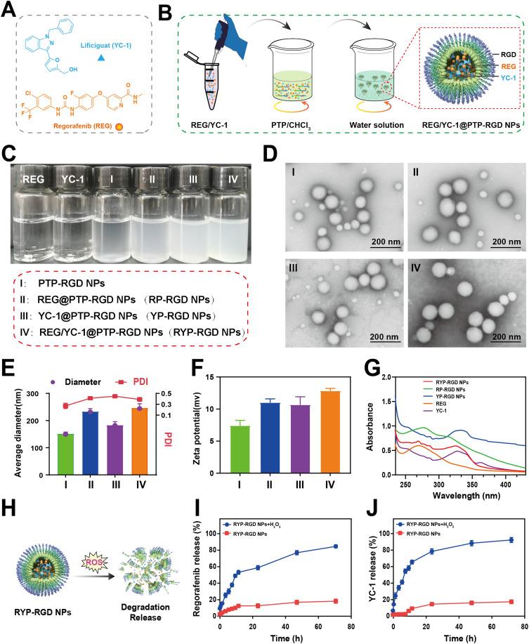 https://cdn.ncbi.nlm.nih.gov/pmc/blobs/6a77/12228521/fab2f8ceda6b/IJN-20-8481-g0002.jpg