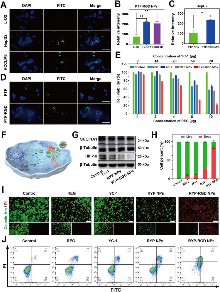 https://cdn.ncbi.nlm.nih.gov/pmc/blobs/6a77/12228521/fd0f13a9564d/IJN-20-8481-g0003.jpg