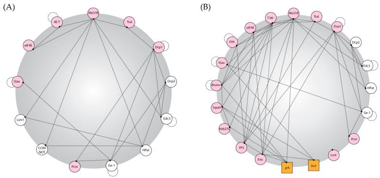 https://cdn.ncbi.nlm.nih.gov/pmc/blobs/6a79/10530015/7cb1b985501f/genes-14-01675-g001.jpg