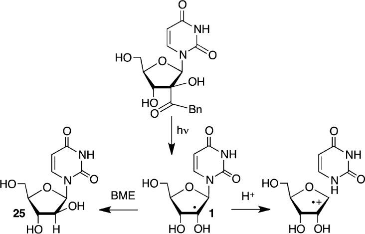 https://cdn.ncbi.nlm.nih.gov/pmc/blobs/6a7c/4227586/5a3272927f26/jo-2014-01916r_0009.jpg