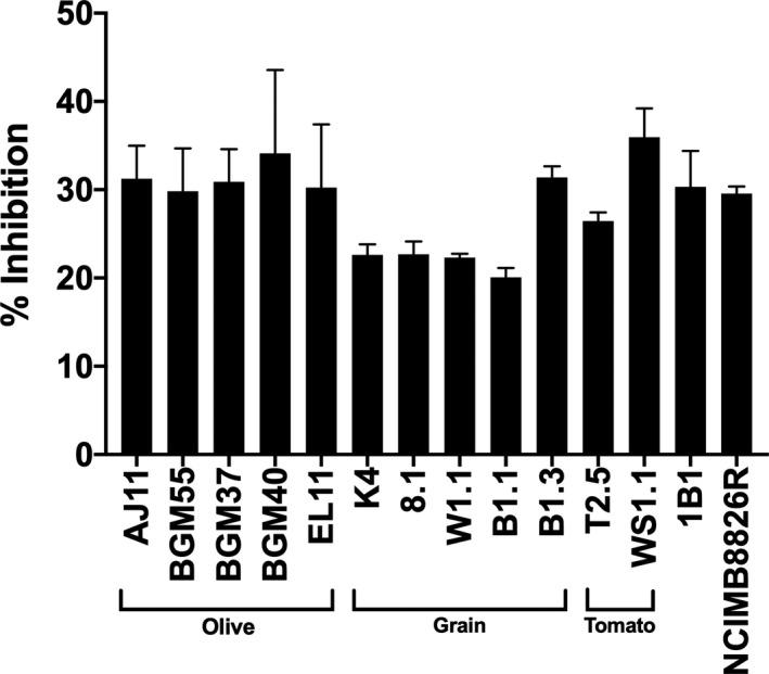 https://cdn.ncbi.nlm.nih.gov/pmc/blobs/6a7c/8449665/d936ec58e0fa/MBT2-14-1990-g008.jpg