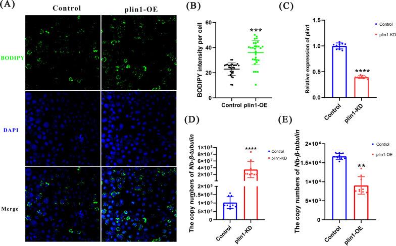 https://cdn.ncbi.nlm.nih.gov/pmc/blobs/6a7e/11237581/254ab9f9dc8b/spectrum.03671-23.f004.jpg