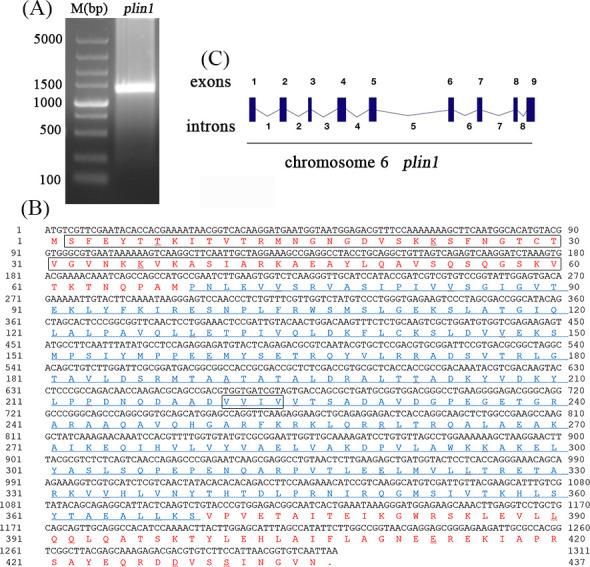 https://cdn.ncbi.nlm.nih.gov/pmc/blobs/6a7e/11237581/61362fddcc7d/spectrum.03671-23.f001.jpg