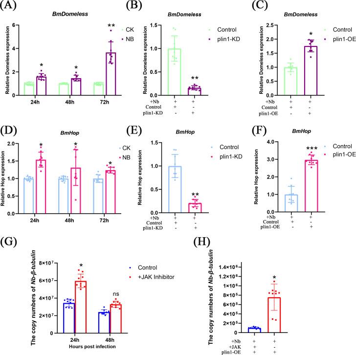 https://cdn.ncbi.nlm.nih.gov/pmc/blobs/6a7e/11237581/d0649d637225/spectrum.03671-23.f005.jpg