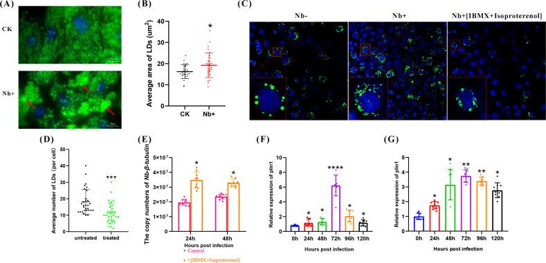 https://cdn.ncbi.nlm.nih.gov/pmc/blobs/6a7e/11237581/fa74ad265fd9/spectrum.03671-23.f003.jpg