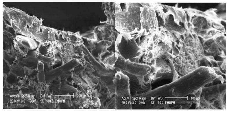 https://cdn.ncbi.nlm.nih.gov/pmc/blobs/6a7e/6268389/a5c3be5edf6a/molecules-17-01969-g011.jpg