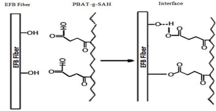 https://cdn.ncbi.nlm.nih.gov/pmc/blobs/6a7e/6268389/c5ce6f3552c2/molecules-17-01969-g014.jpg