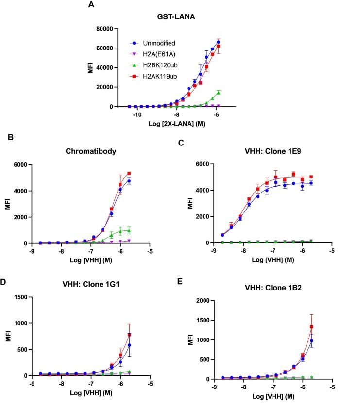 https://cdn.ncbi.nlm.nih.gov/pmc/blobs/6a80/11381367/8fa0f0d548f1/gkae698fig6.jpg