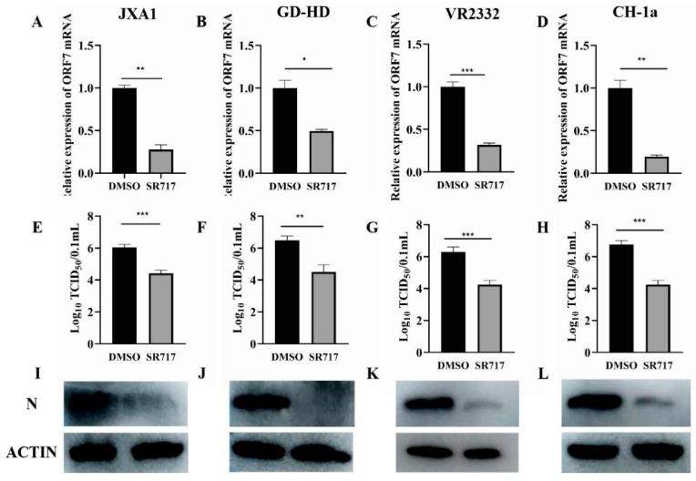 https://cdn.ncbi.nlm.nih.gov/pmc/blobs/6a80/11437437/c927e4d4d051/viruses-16-01373-g002.jpg