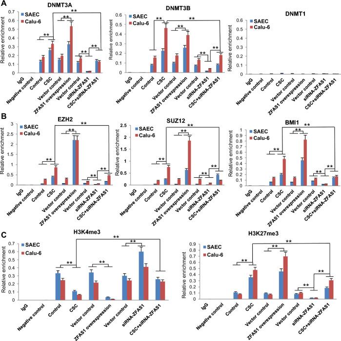 https://cdn.ncbi.nlm.nih.gov/pmc/blobs/6a81/11983736/036a7aee4afb/11658_2025_705_Fig7_HTML.jpg