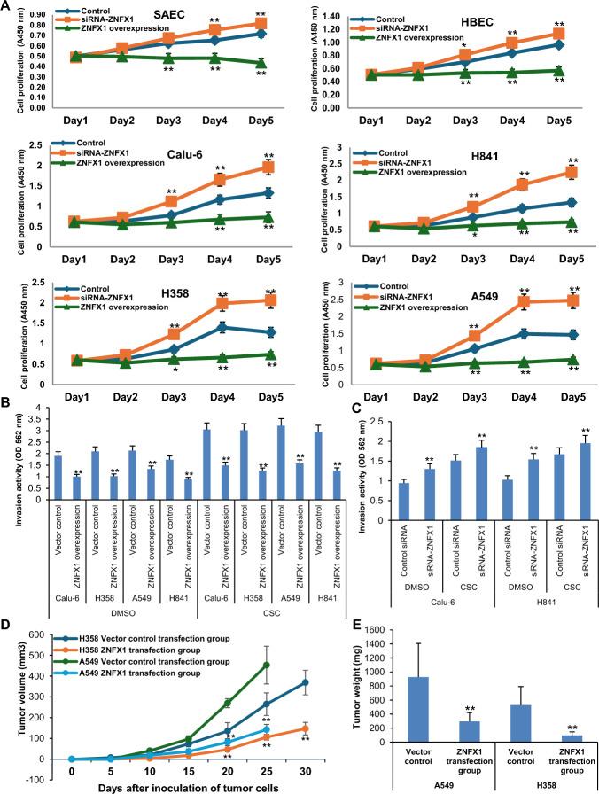 https://cdn.ncbi.nlm.nih.gov/pmc/blobs/6a81/11983736/9e62ce648ec5/11658_2025_705_Fig5_HTML.jpg