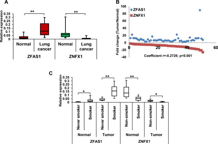 https://cdn.ncbi.nlm.nih.gov/pmc/blobs/6a81/11983736/c02a6ad15c94/11658_2025_705_Fig2_HTML.jpg