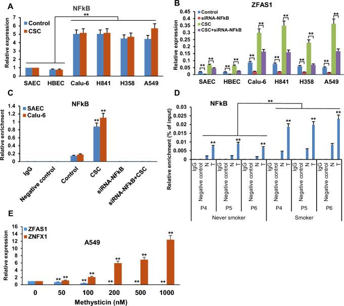 https://cdn.ncbi.nlm.nih.gov/pmc/blobs/6a81/11983736/ea369eab94ea/11658_2025_705_Fig11_HTML.jpg