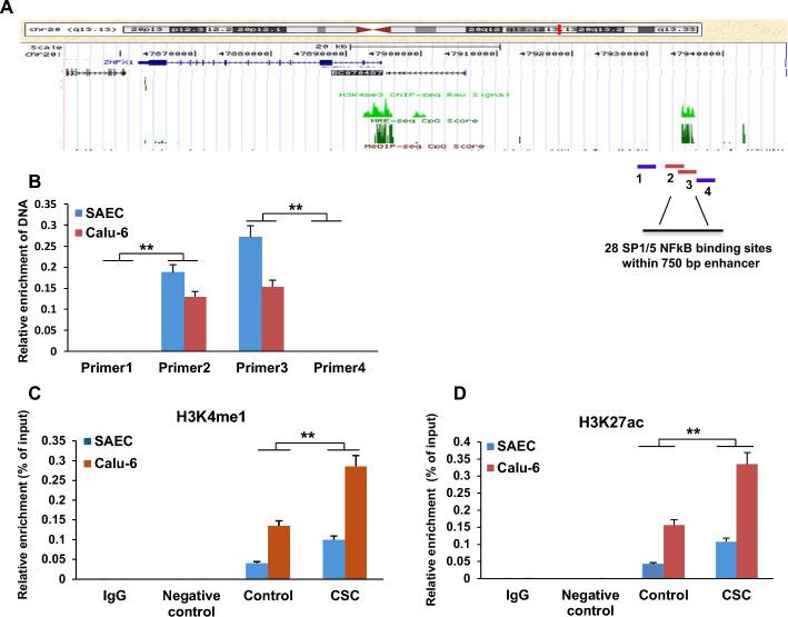 https://cdn.ncbi.nlm.nih.gov/pmc/blobs/6a81/11983736/f2126233f79f/11658_2025_705_Fig9_HTML.jpg