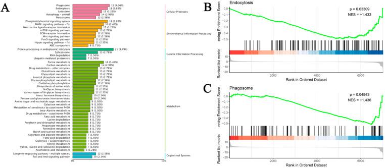 https://cdn.ncbi.nlm.nih.gov/pmc/blobs/6a83/12295734/a188ccc9f6b6/insects-16-00699-g005.jpg