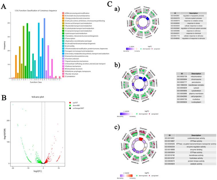 https://cdn.ncbi.nlm.nih.gov/pmc/blobs/6a83/12295734/c80cb9e6fb17/insects-16-00699-g004.jpg