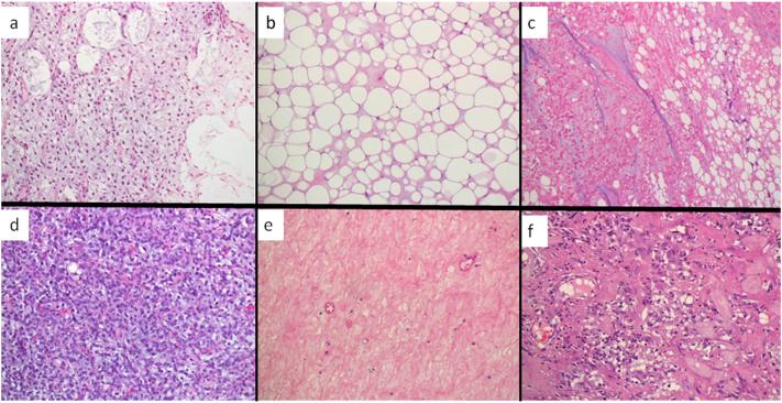 https://cdn.ncbi.nlm.nih.gov/pmc/blobs/6a84/6510725/74caec2845fd/gr3.jpg