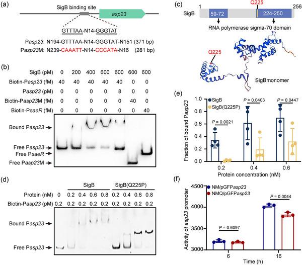 https://cdn.ncbi.nlm.nih.gov/pmc/blobs/6a85/11350273/324419b67d64/JEV2-13-e12501-g005.jpg