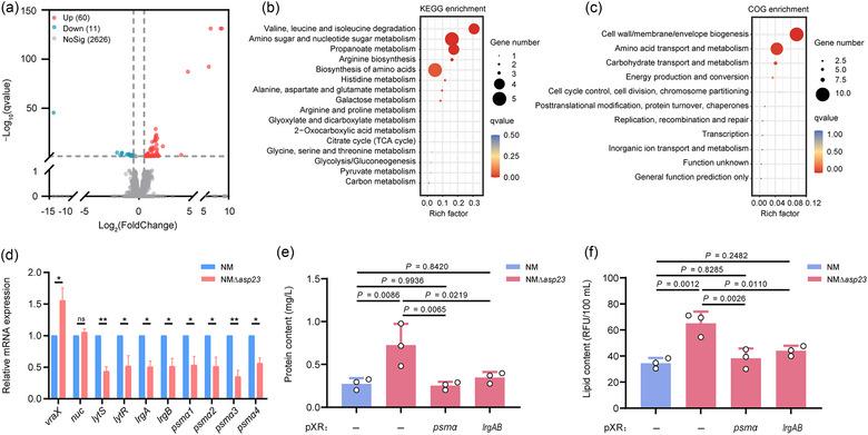 https://cdn.ncbi.nlm.nih.gov/pmc/blobs/6a85/11350273/9fe5e2a70970/JEV2-13-e12501-g006.jpg