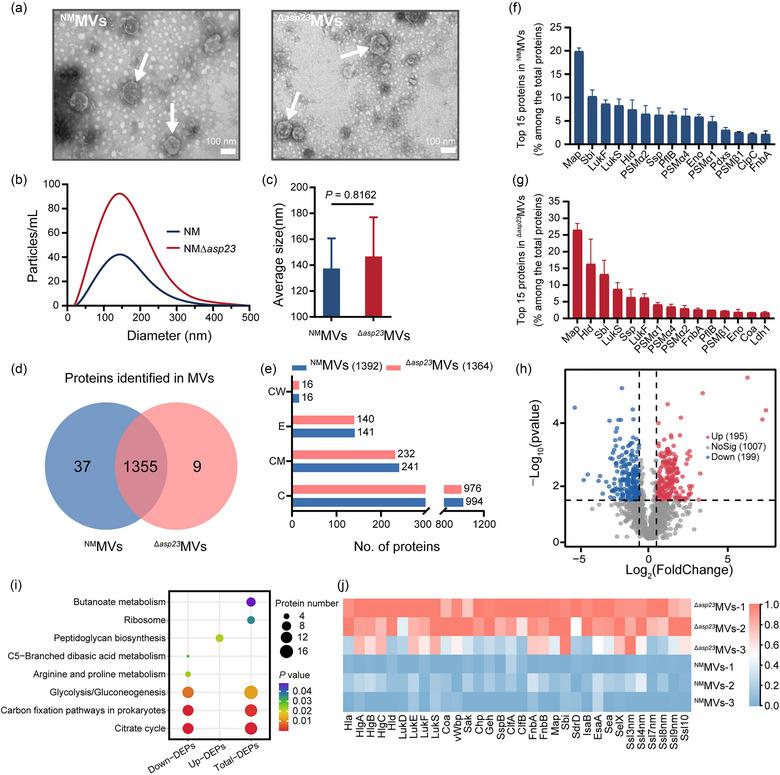 https://cdn.ncbi.nlm.nih.gov/pmc/blobs/6a85/11350273/a743666b6f69/JEV2-13-e12501-g003.jpg