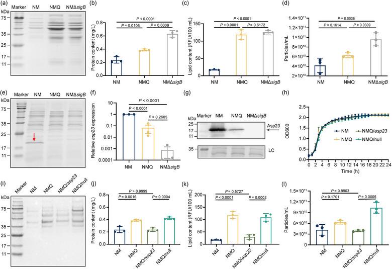 https://cdn.ncbi.nlm.nih.gov/pmc/blobs/6a85/11350273/f374f72c2be3/JEV2-13-e12501-g001.jpg