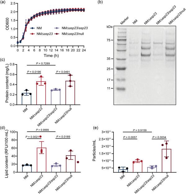 https://cdn.ncbi.nlm.nih.gov/pmc/blobs/6a85/11350273/fecfa33edc63/JEV2-13-e12501-g004.jpg