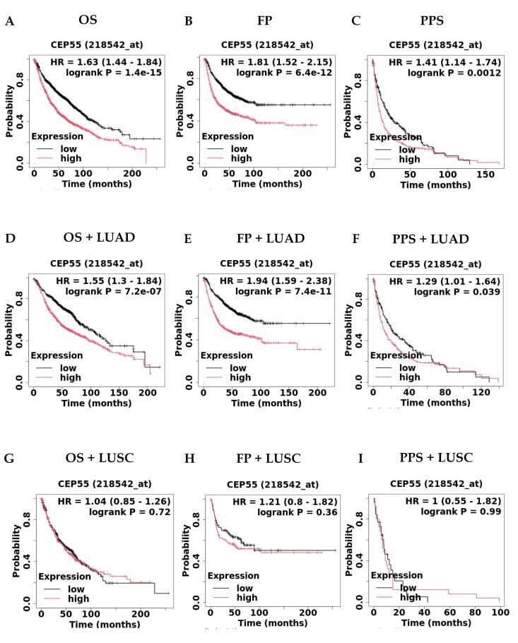 https://cdn.ncbi.nlm.nih.gov/pmc/blobs/6a85/12204813/855578a68bfe/bi-15-30585-g003.jpg